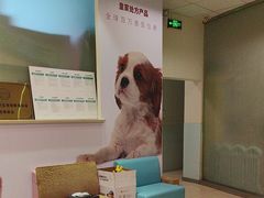 -瑞派申生动物医院·24H夜诊·国际动物医疗中心·骨外科(吴中路店)