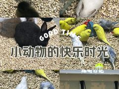 -万达广场(北京槐房店)