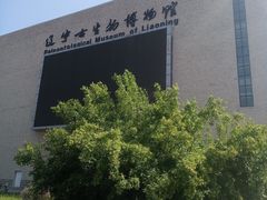 -辽宁古生物博物馆