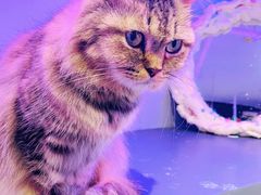 -极木²邸 人与宠物·互动社区