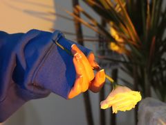 -橙呦·私人定制生日蛋糕