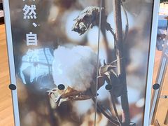 -MUJI无印良品(华贸店)