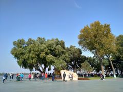 -人民防洪胜利纪念塔