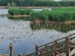 -野鸭湖国家湿地公园