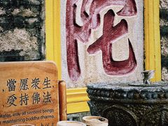 -南普陀寺