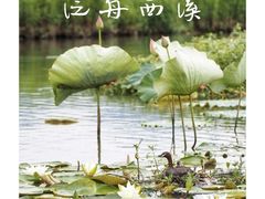 -西溪国家湿地公园