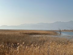 -野鸭湖国家湿地公园