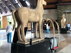 -三亚湾海居铂尔曼度假酒店