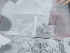 -上海海昌海洋公园