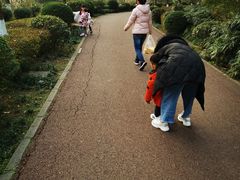 -白鹭湾湿地公园