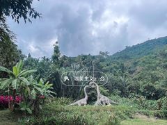 -呀诺达热带雨林