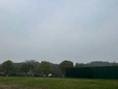 -羊山湖公园