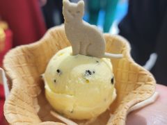 -CORNER CONE GELATO酷矿手作霜淇淋(南头古城店)
