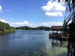 -上海市保健医疗中心