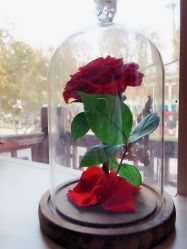 点击看大图 -MC皮肤管理中心