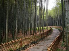 -杭州植物园