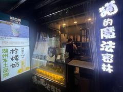 -猫的魔法密林(衣裳街店)