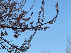 -长春公园(普阳街道)