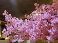 -长崎屋·日本料理·刺身·烧鸟(天河北路店)