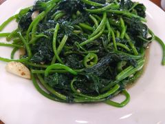 -大地土窑菜馆·特色罗浮农家菜(罗浮山景区店)