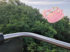 -青岛中山公园-索道售票处