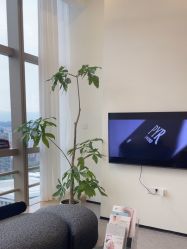 -JNK皮肤管理中心