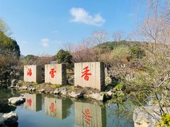 -香雪海