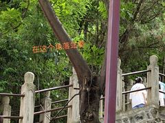 -华清宫景区
