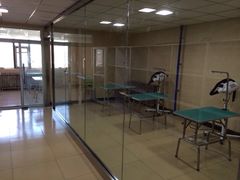 -优缇多格专业宠物美容师培训学校