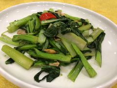 -姚林轩