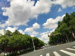 -青花椒花椒鱼(合生汇店)