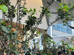 -tea'stone (万象天地店)