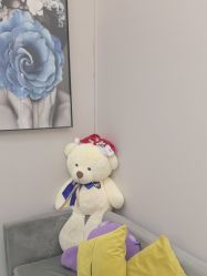 -金圣医疗美容