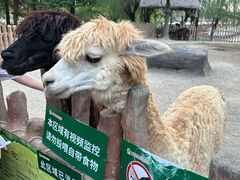-上海野生动物园