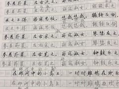 -赵汝飞练字硬笔书法(博泰国际校区)