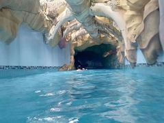 -重庆海昌加勒比海水世界