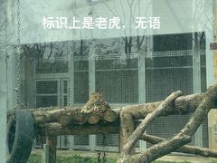 -武汉动物园