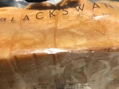 -BLACKSWAN黑天鹅(环球店)