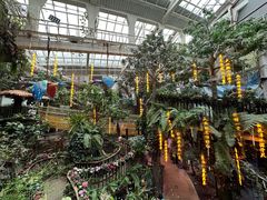 -正佳雨林生态植物园