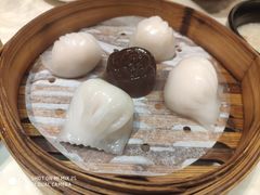 稻香虾饺皇-稻香酒家(长宁KING88广场店)
