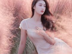 -王借岗森林公园