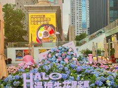 -HALO广场(梨园路店)
