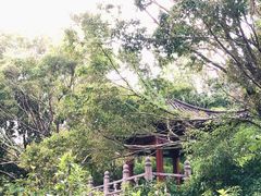 -深圳国际园林花卉博览园