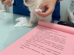 -宠福鑫康馨动物医院·骨科·眼科
