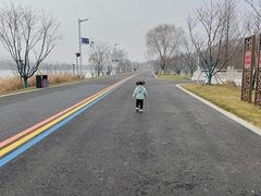 -羊山湖公园