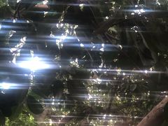 -四川名小吃·宜宾燃面(鼓新路店)