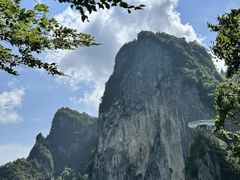 -秦岭天竺山景区