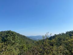 -广州白江湖森林公园