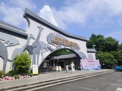 -杭州少年儿童公园