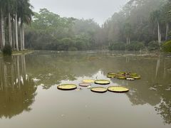 -中国科学院西双版纳热带植物园